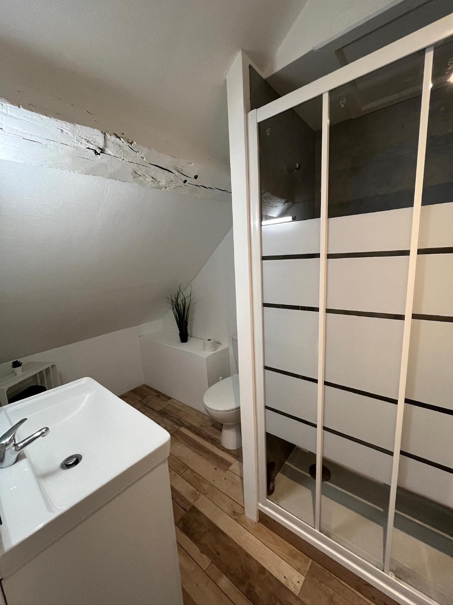Residence 3 Studios De Charme Dans Centre Proche Cathedrale, Parking Possible A Prox Ορλεάνη Εξωτερικό φωτογραφία