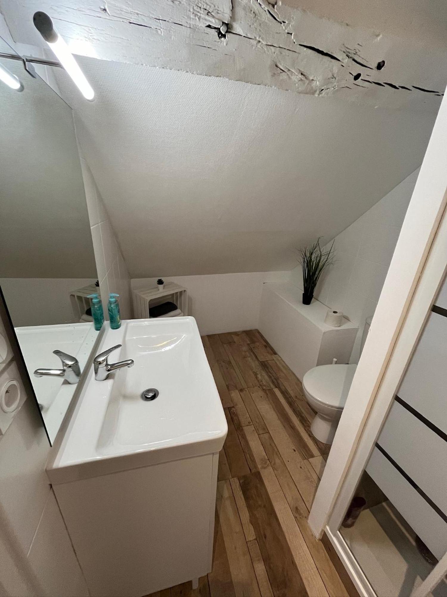 Residence 3 Studios De Charme Dans Centre Proche Cathedrale, Parking Possible A Prox Ορλεάνη Εξωτερικό φωτογραφία